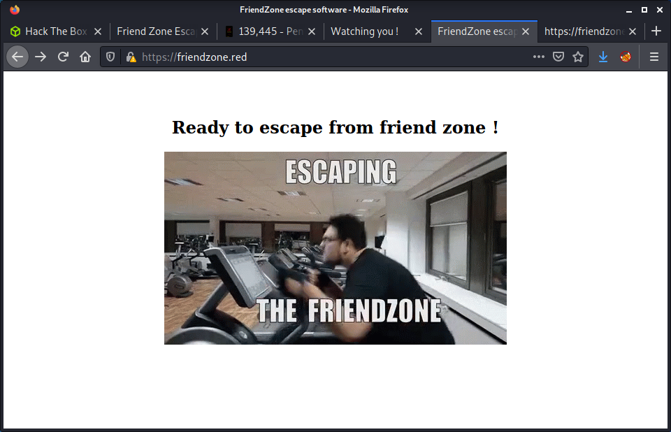 443 Friendzone